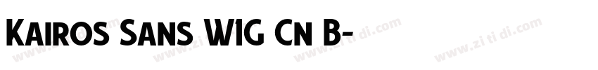 Kairos Sans W1G Cn B字体转换